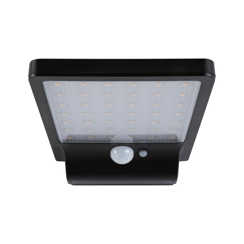 Solveig LED Solar Outdoor Flush Mount with Motion Sensor