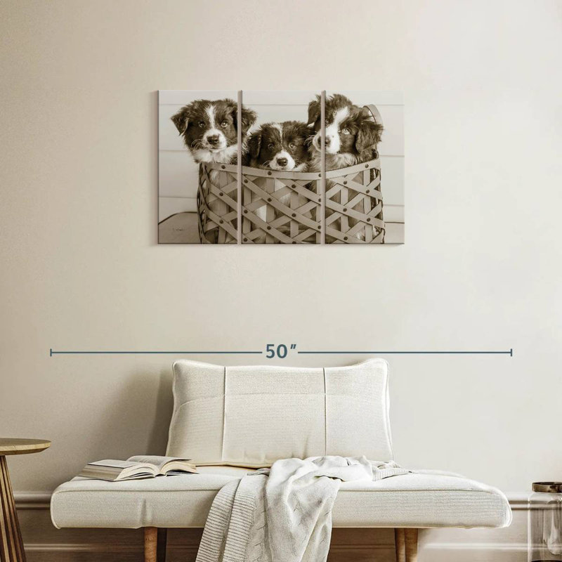 Brampt What A Cute Bundle, 20" H x 33" W