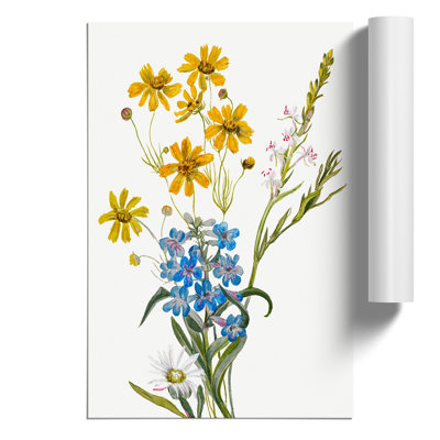 Group of Flowers by Mary Vaux Walcott - Frameless Print