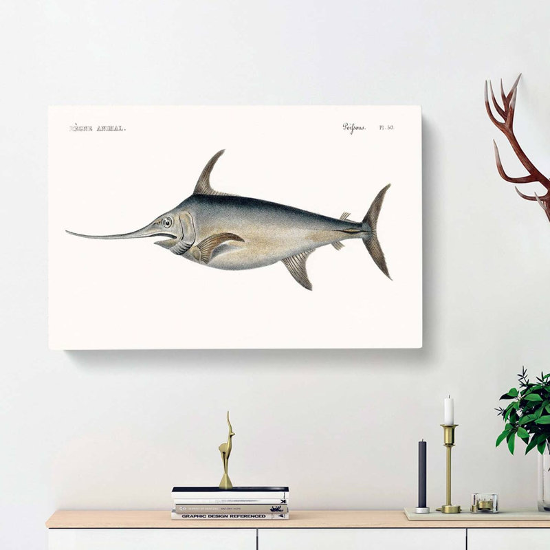 Blue Marlin by Georges Cuvier - Wrapped Canvas, 40cm H x 60cm W x 3cm D