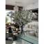 Cherry Blossoms In 16" Glass Cylinder-454575419