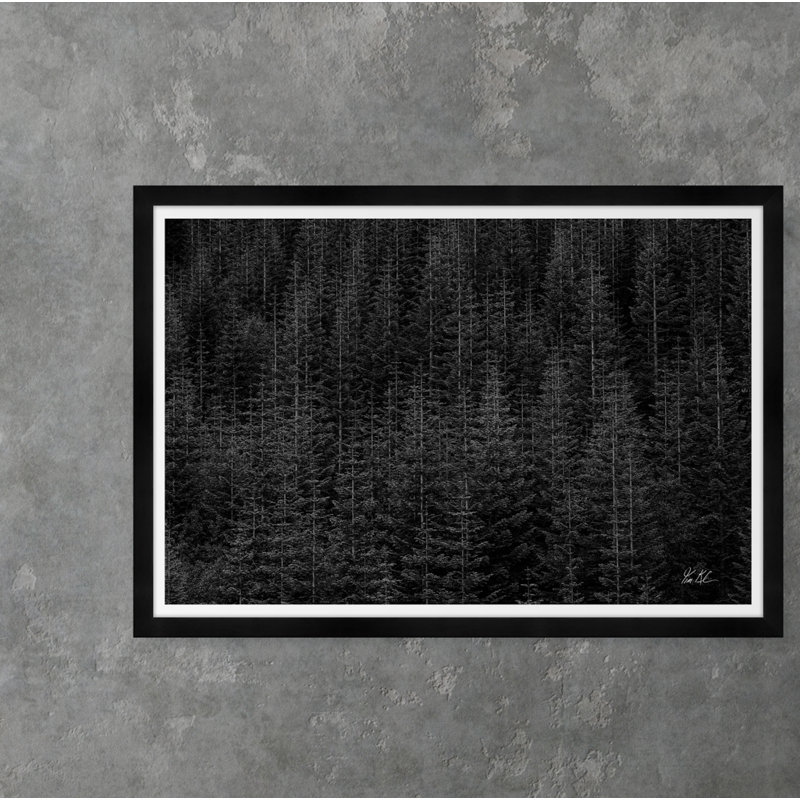 Among Static Pines Iii Print by Tim Klein