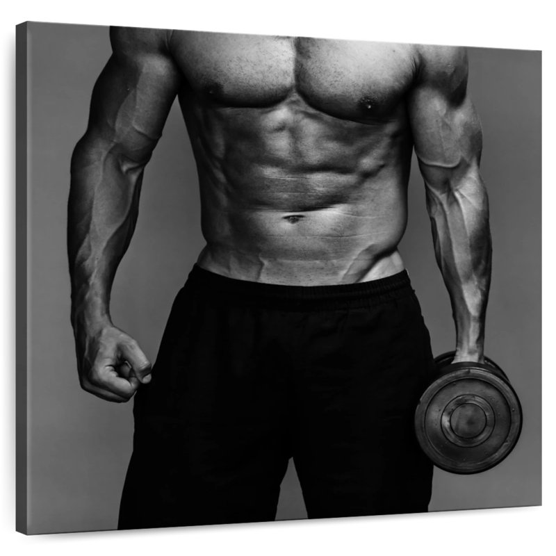 Senne Musculation Muscle Guy, H 10 po x l 10 po