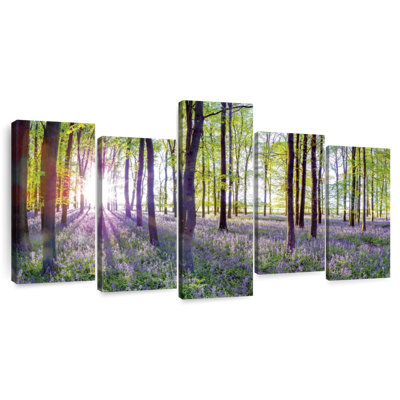 Harnek Bluebells And Sunrise