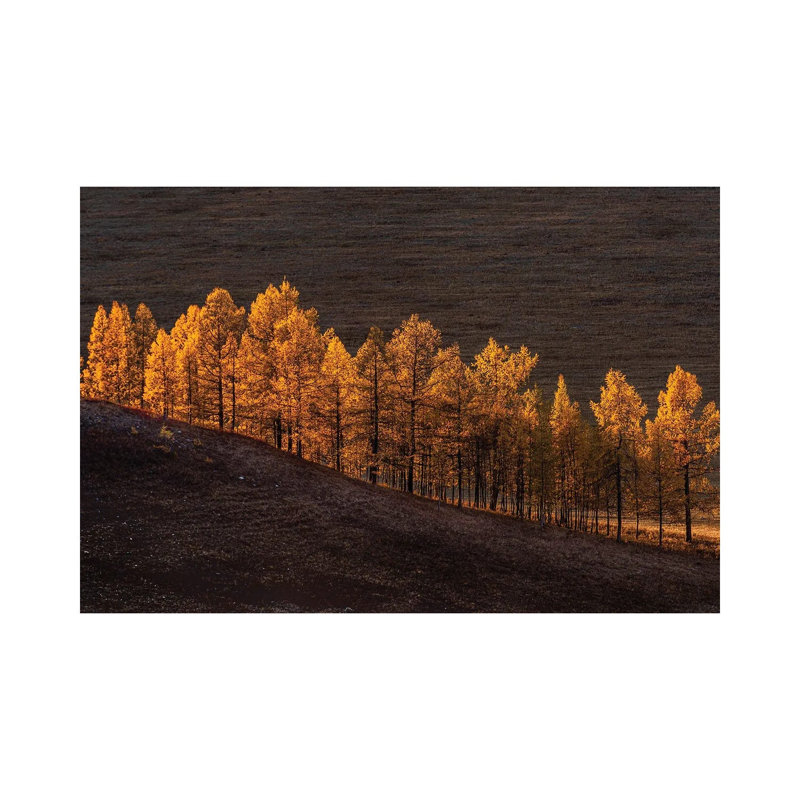 Sunset Light by Haim Rosenfeld - Wrapped Canvas Print, 66.04 cm H x 45.72 cm W
