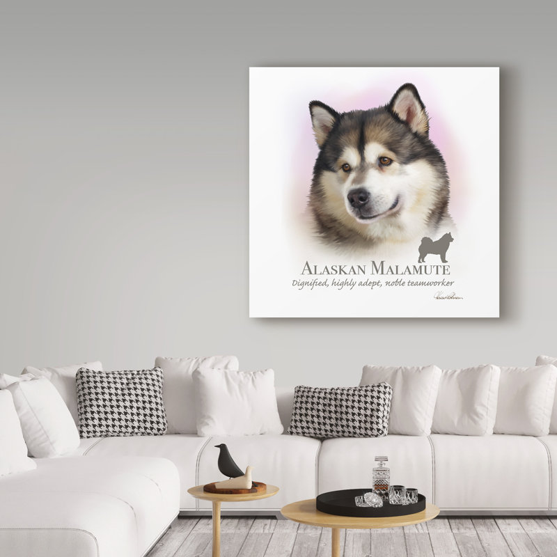 « effet velours alaskan malamute », reproduction d’impression sur toile tendue, H 35 po x l 35 po x P 2 po
