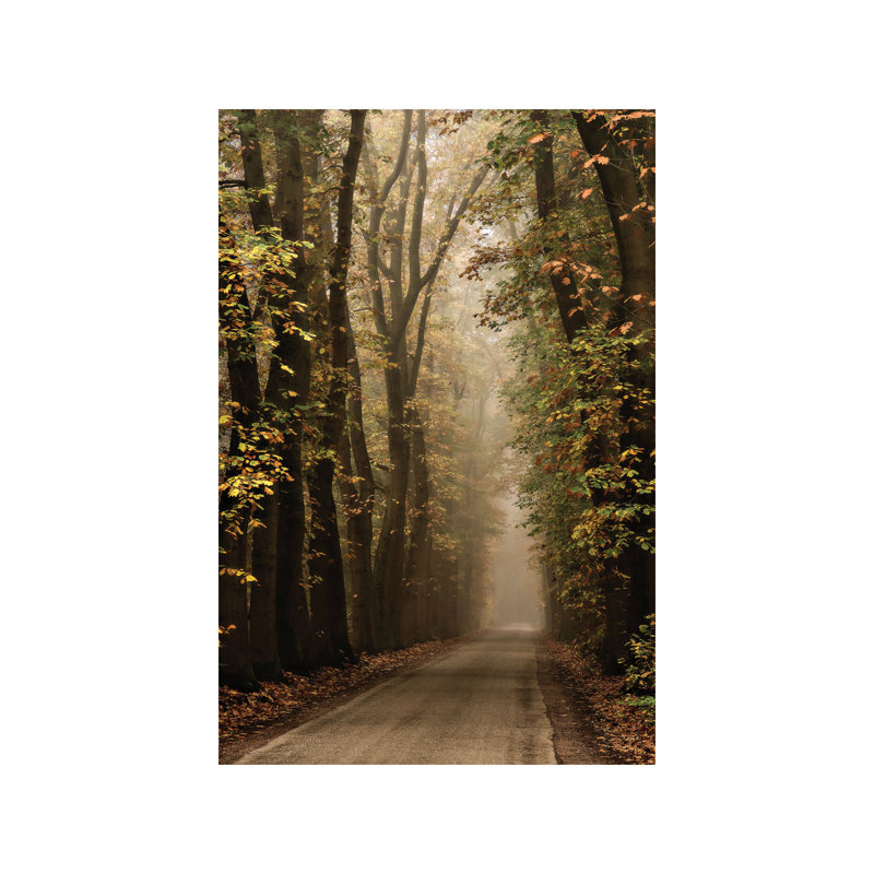 Folia by Lars Van De Goor - Wrapped Canvas Print, 101.6 cm H x 66.04 cm W x 1.91 cm D