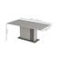 Deangleo Extendable Dining Table
