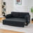 Queen Sleeper Sofa (Black)