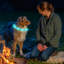 USB Rechargeable Lighting LED Dog Collar-98664271