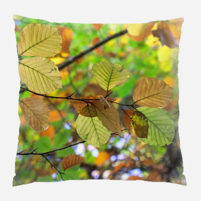Solid Colour Outdoor Reversible Throw Pillow