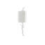 Baneberry 1 - Light Flush Mounted Sconce