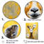 Popart, portrait d'une chèvre jaune sur toile-1251930762-1251930761