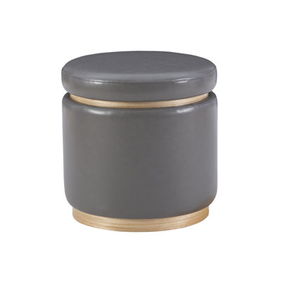 Addilynne Faux Leather Ottoman