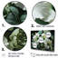 «Green Hibiscus Realistic Splendor», reproduction sur toile-1092239526-1092239527