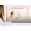 Magnetic Glass Dry Erase Board