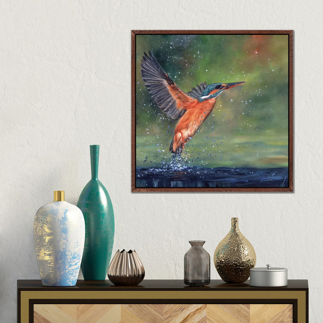 Eisvogel von David Stribbling - Galerie-umwickelte Leinwand Giclée