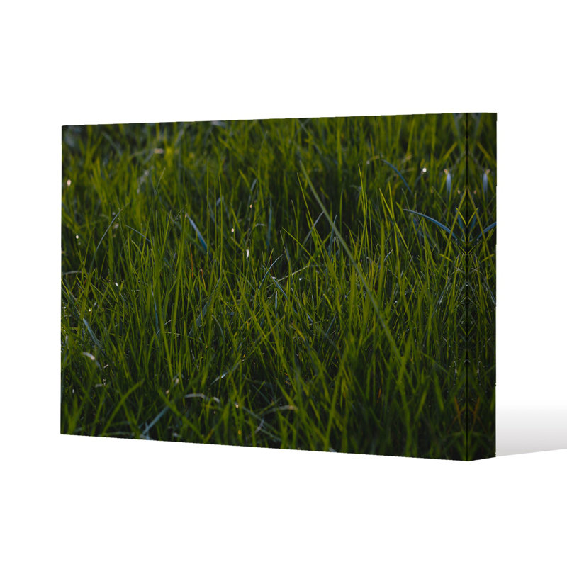 Fresh grass background, natural grass Slim Style Canvas Print, 15mm Slim Real wood., 90 cm H x 120 cm W