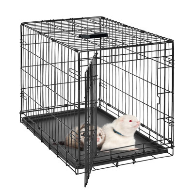 Small Animal