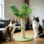 Poteau à griffes pour chat, poteau à griffes pour chaton de 16 po avec corde en sisal de qualité supérieure, arbre à chat mignon avec jouets suspendus et boules de printemps pour petits chats d'intérieur-1144127070