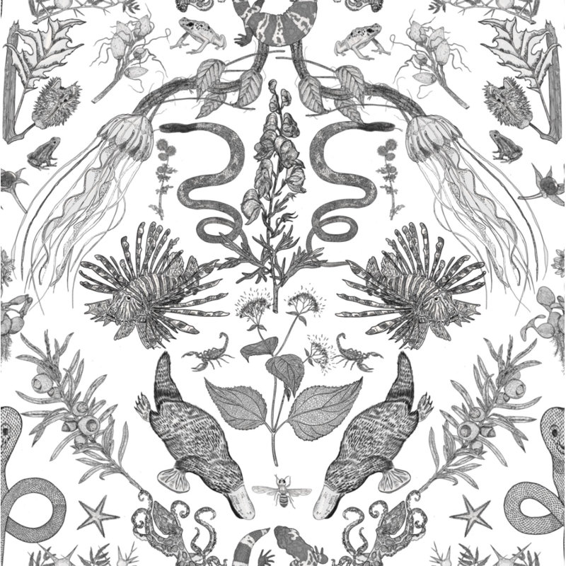 Critters Wallpaper, Black/Gray