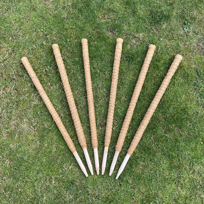 Ceriyah Wood Plant Support