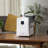 Levoit 1.5 Gallons Dual Mist Ultrasonic Tabletop Humidifier with Adjustable Humidistat for 750 Cubic Feet