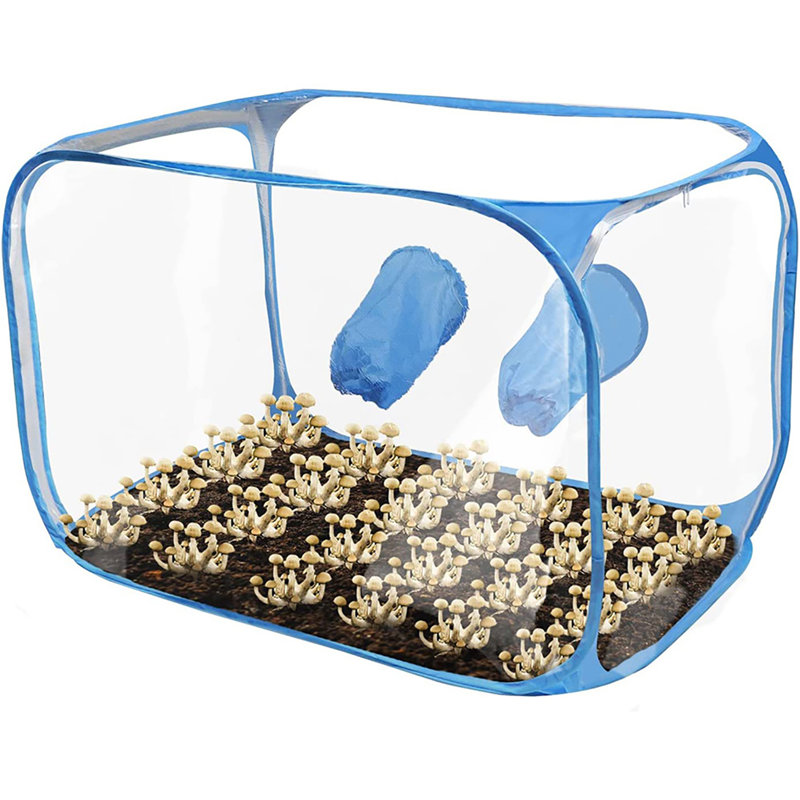 Mushroom Growing Still Air Box