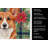 Red Cardigan Welsh Corgi Christmas PoinsettIas Kitchen Towel-2080583757