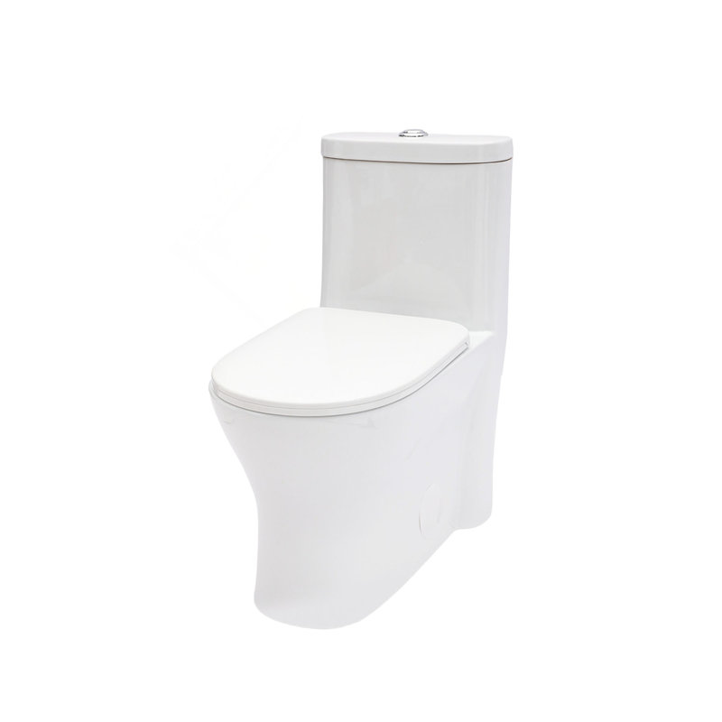 Ceramic One Piece Toilet for Bathroom, 12-inch Rough-In, 1.22/1.6 GPF, Dual Flush with Soft Clsoing Seat, Powerful Dual Flush MAP 800g