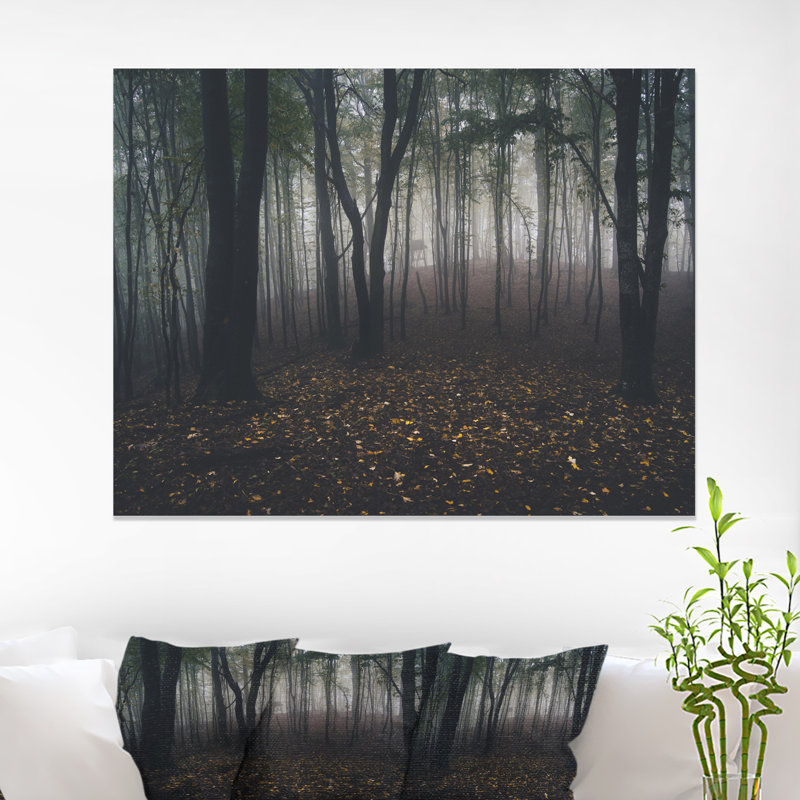 «Dark Spooky Misty Wild Forest», reproduction de photo, H 20 po x l 20 po x P 1 po, Toile tendue