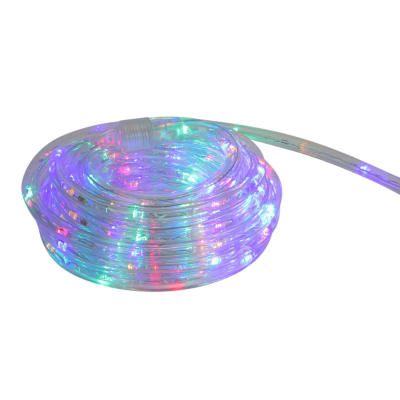 Guirlande de Noël à DEL 100 pi, Multicolore