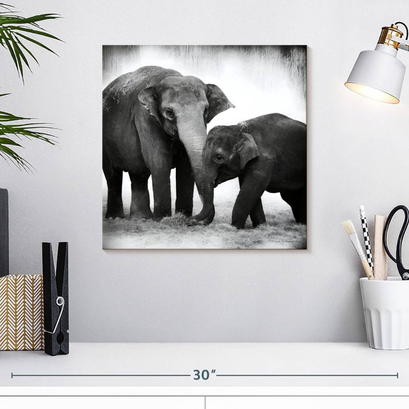 Crowle Elephant BW II