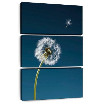 Harnek One Dandelion Seed