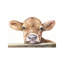 Calf - Painting on Canvas-1925011717-1931381849