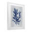 Blue Sea Algae, reproduction sous verre encadrée, design par Amber Sterling-988265057-988265059