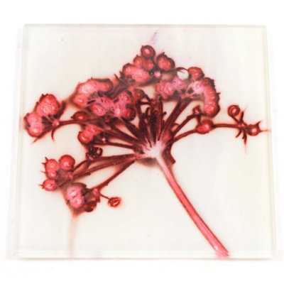 Glass Square 1 Piece Coaster