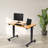 Fontclair Adjustable Metal Base Standing Desk-1808896548-1808896552