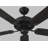 Amorette Ceiling Fan-24169759-87893838