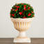22 po Boule de Noël Photinia