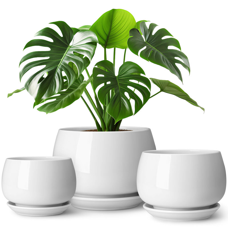 TYHPOT Ceramic Pot Planter, White