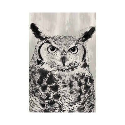 Charcoal Owl