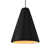 Noir carbone mat / or champagne
