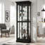 Lighted Curio Cabinet-1162398221