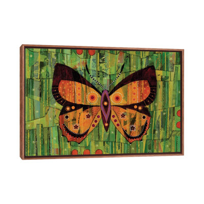 Apollo Jewel Butterfly