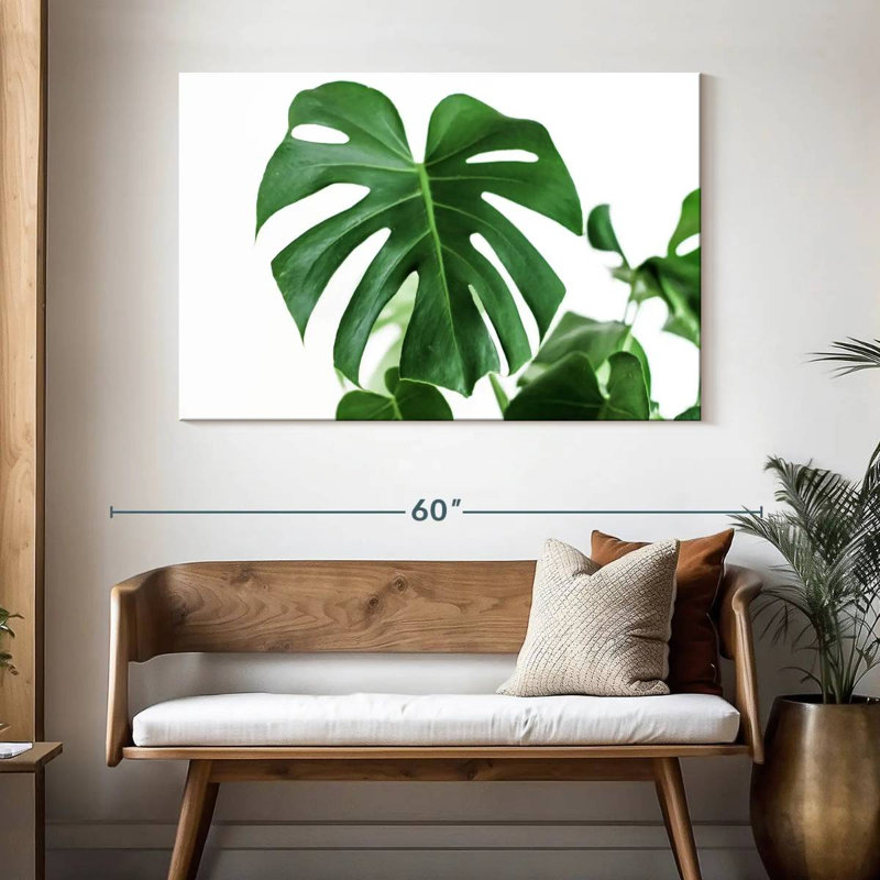 Feuille Harnek Monstera, H 32 po x l 48 po