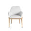 Palma Patio Dining Armchair with Cushion