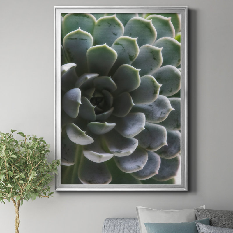 «Zen Succulent I» par J Paul - reproduction de photo sur toile encadrée, H 22,5 po x l 30,5 po x P 1,5 po, Argent