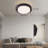 Charmia Acrylic LED Flush Mount