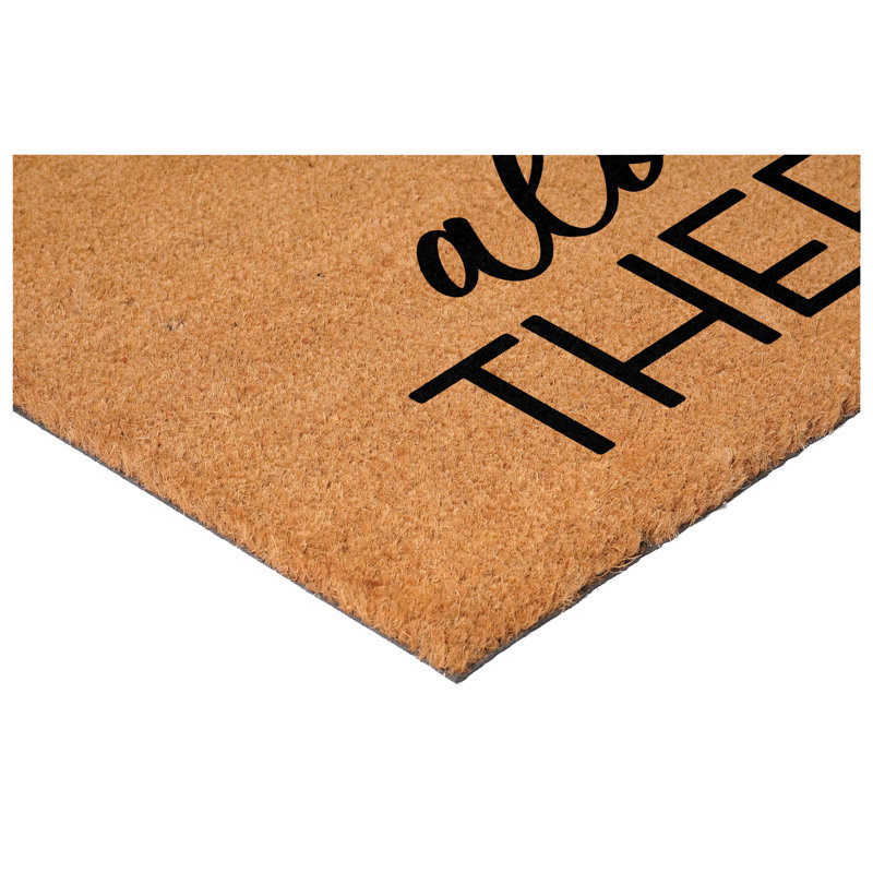Aloe There Doormat 17" x  29"